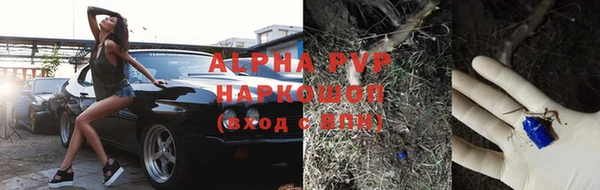 ешки Новокубанск
