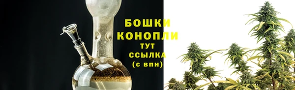ешки Новозыбков