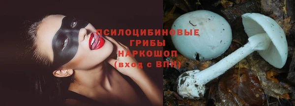 скорость mdpv Новодвинск