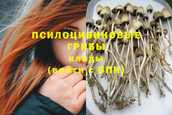 ешки Новозыбков