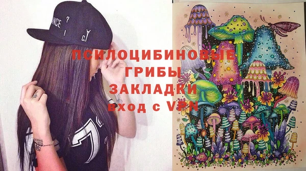 ешки Новозыбков